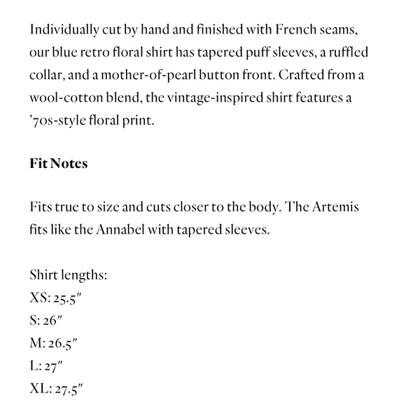 Alix of Bohemia Artemis Top - Picture 8 of 9